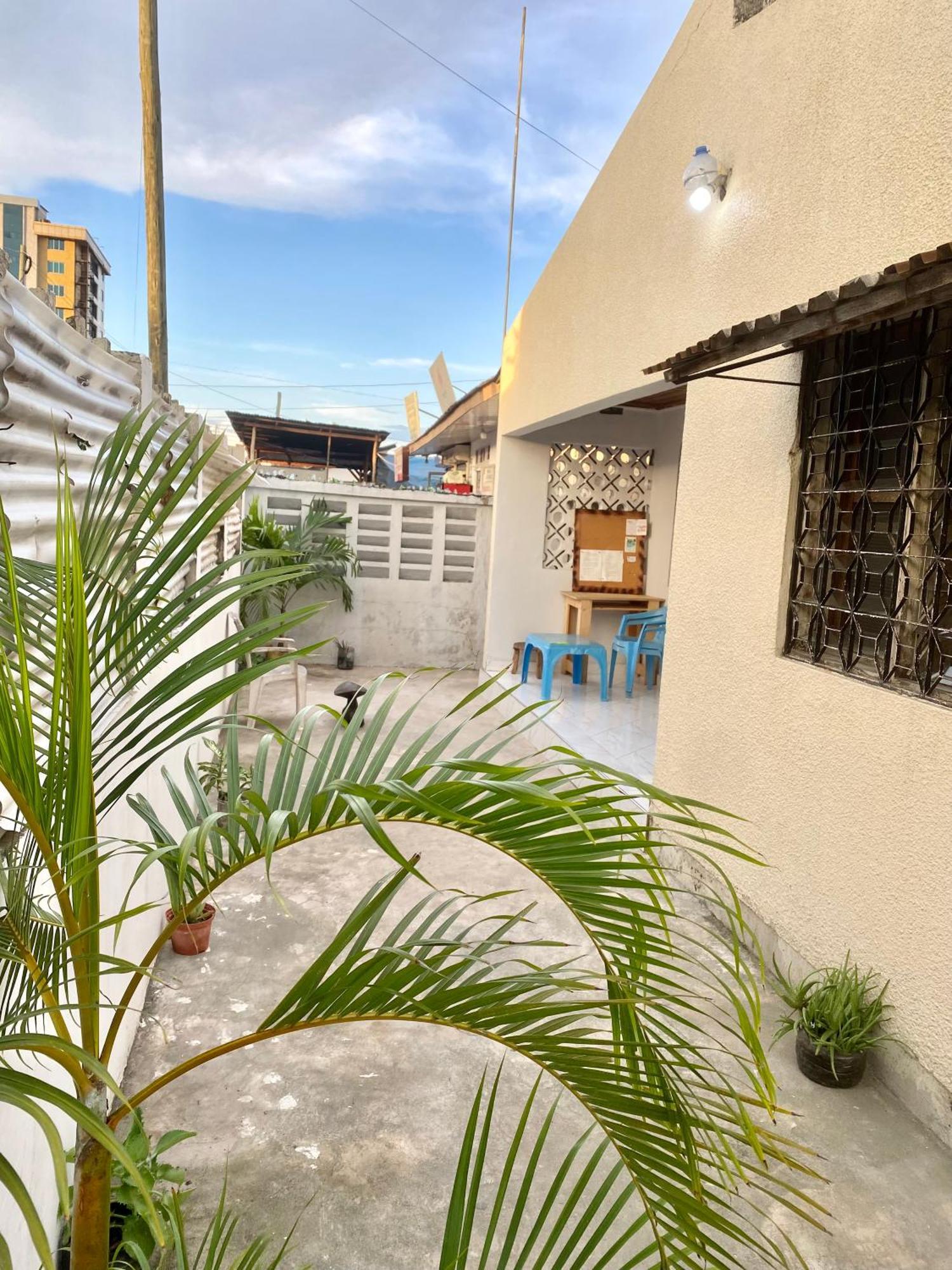 The Nest Haven Hostel دار السلام المظهر الخارجي الصورة